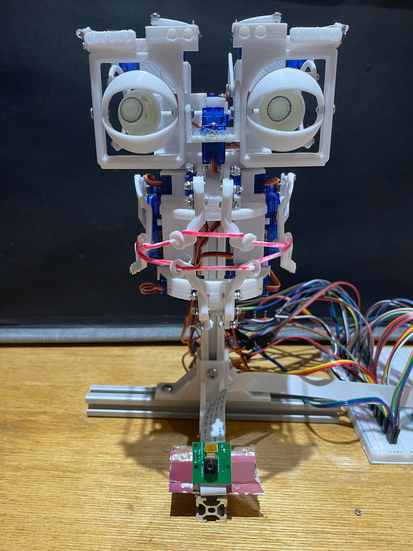 Animatronic head